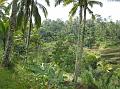2007 07 17 BALI 0026